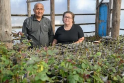 «В этом году заработала на творчестве гораздо больше, чем в прошлом». Каким был 2025-й год для героев рубрики «Свое дело»