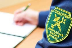 Будущих абитуриентов ждут в Могилевской таможне на день открытых дверей 16 декабря