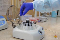 Как в Беларуси узнать свой генотип: спросили у эксперта