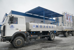 Производство молока выросло в Беларуси более чем на 220 тысяч тонн