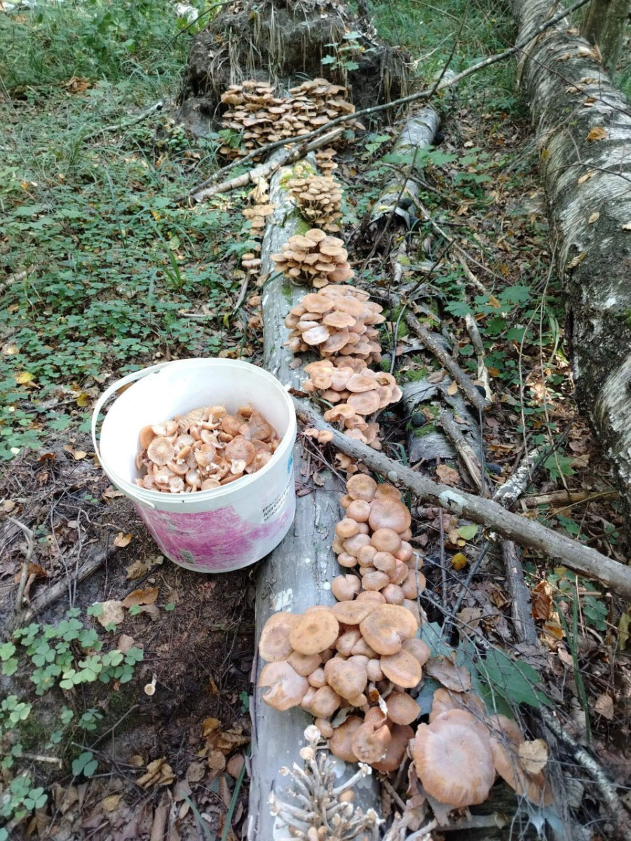 Фото Татьяны Авраменко.