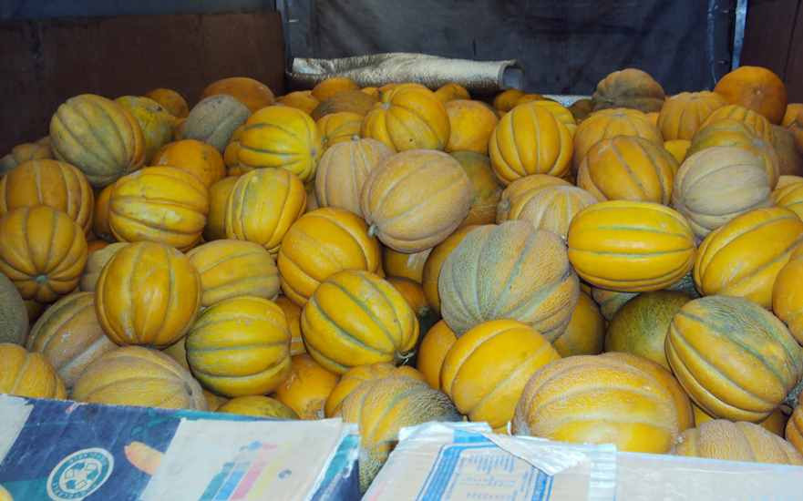 Около 1 тонны дынь не доехали до Беларуси. В чем причина?