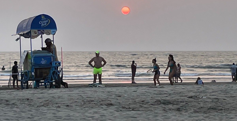 «К детям езжу: на месяц в Батуми, на месяц – в Индию». Жизнь глазами бобруйчан