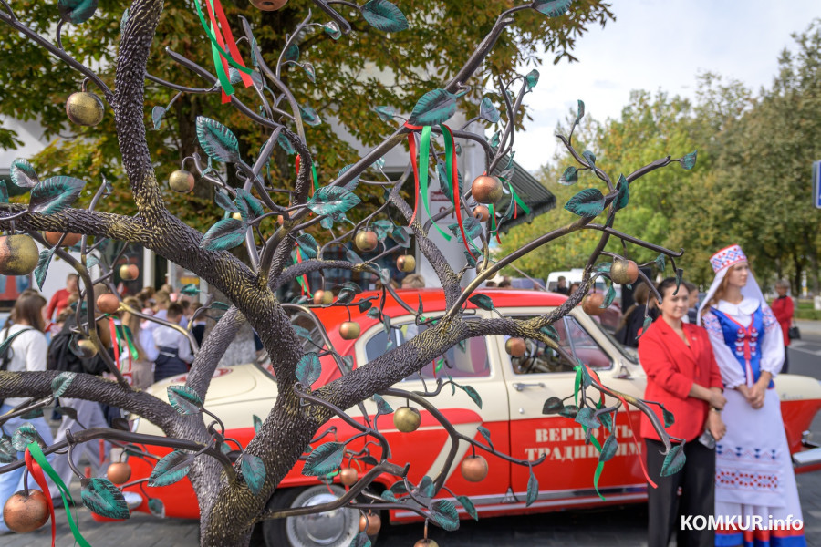 На Социалке «выросла» яблоня с золотыми яблоками. Под ней собрали первый урожай зефира в шоколаде 