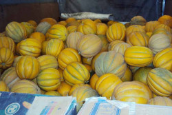 Около 1 тонны дынь не доехали до Беларуси. В чем причина?