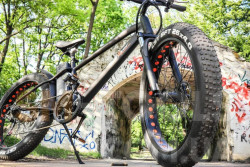 В Беларуси открывают новое производство велосипедов на 3 млн евро: где будет завод?