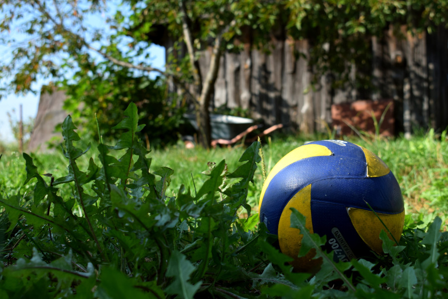 Сколько стоят дачи под Бобруйском? Собрали варианты, где можно начинать сезон