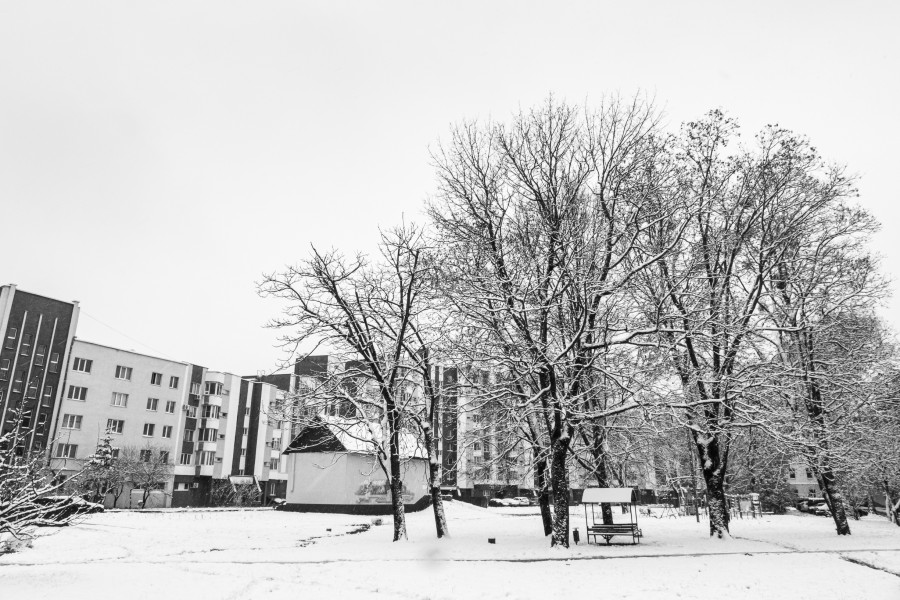 Первый снегопад 2025 года. За сутки выпало 8 см снежного покрова