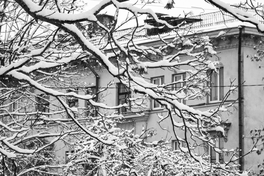 Первый снегопад 2025 года. За сутки выпало 8 см снежного покрова