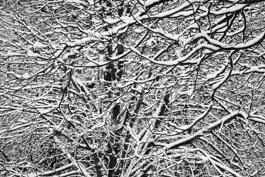 Первый снегопад 2025 года. За сутки выпало 8 см снежного покрова