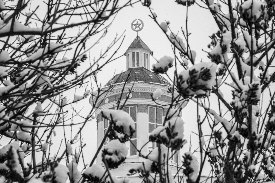 Первый снегопад 2025 года. За сутки выпало 8 см снежного покрова