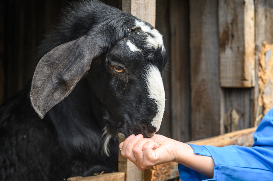 Работа без специального образования в Бобруйске и районе
