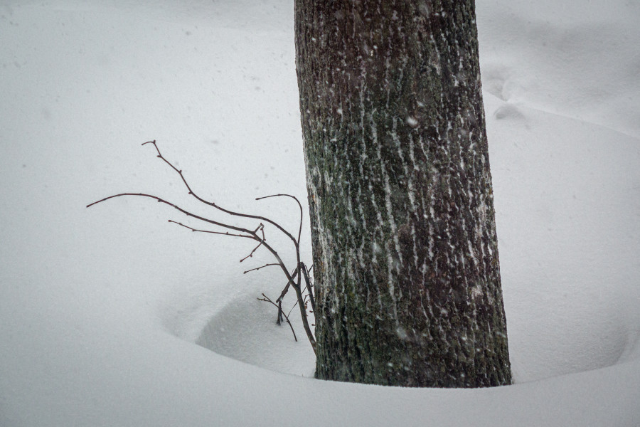 Циклон Улли принес в Бобруйск обильные снегопады