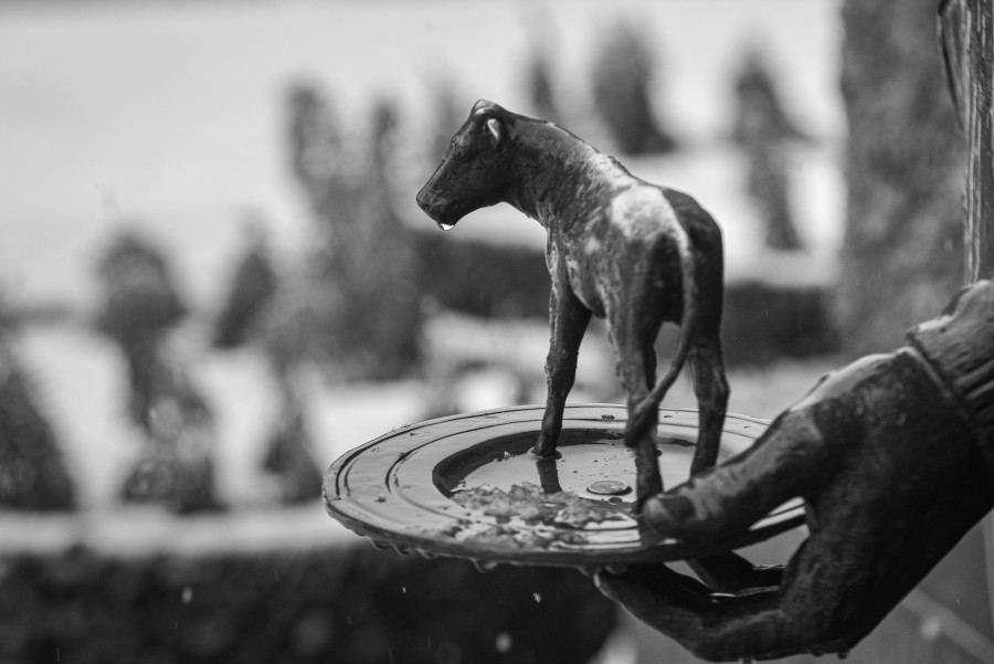 «Сейчас постоянно ношу с собой или ливерку, или пару сосисок». Жизнь глазами бобруйчан