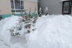 Циклон «Улли» в Глуске, 9 января. Фоторепортаж 