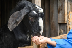 Работа без специального образования в Бобруйске и районе