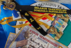 Бобруйчанка Доминика Пантелеева стала абсолютной чемпионкой на турнире по таэквондо 