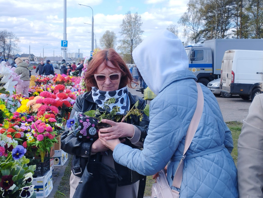 «Нормальные люди сажают саженцы на кладбище!» Как в Бобруйске прошла акция «Радуница без пластика»