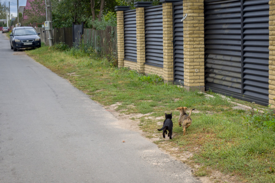 Усадебная застройка на улице Широкой