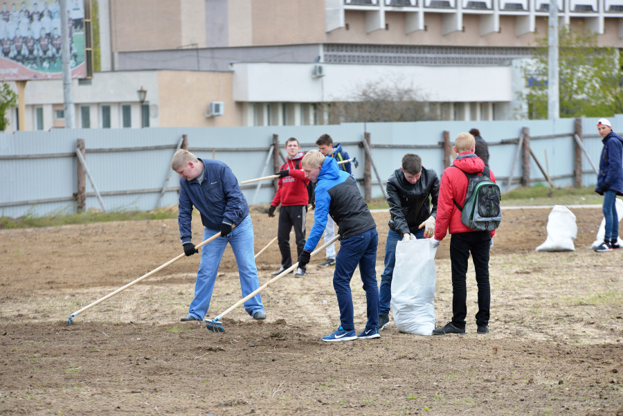 25 октября в Беларуси пройдет республиканский субботник. На какие цели направят вырученные средства в Могилевской области?