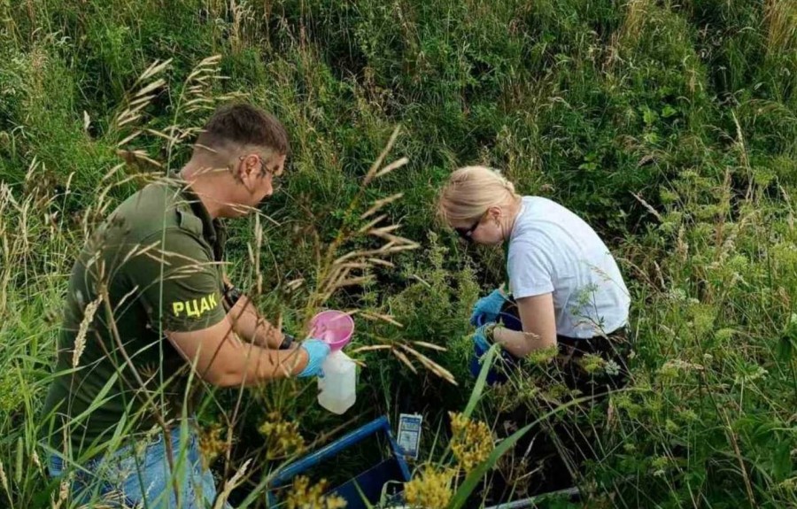 Минприроды: под Новогрудком в реке Ятранка погибла рыба