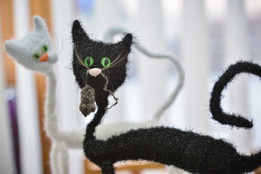 «Дочка с мужем оставили на нас двух котов и черепаху, а сами улетели в Турцию». Жизнь глазами бобруйчан