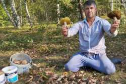 «300 боровиков собрал, сам не ожидал». Под Бобруйском пошли благородные грибы