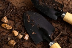 В Бресте должника вывезли в лес и заставили копать себе яму 