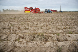 Земельные участки в десяти районах Гомельщины исключены из перечня радиационно опасных