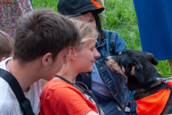 «Роды здоровья питомцу не приносят». Бобруйский ветеринар о стерилизации и почему гормональные препараты – не выход 