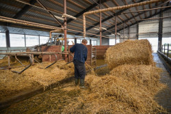 Вакансии без требования к образованию в Бобруйске и в Бобруйском районе 