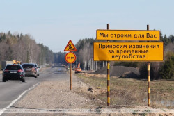 Переходы для диких животных построят на трассе Р-46 в Витебской области. Такое будет впервые  