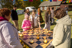 «Пару лет отдыхала, а потом устроилась уборщицей». Жизнь глазами бобруйчан