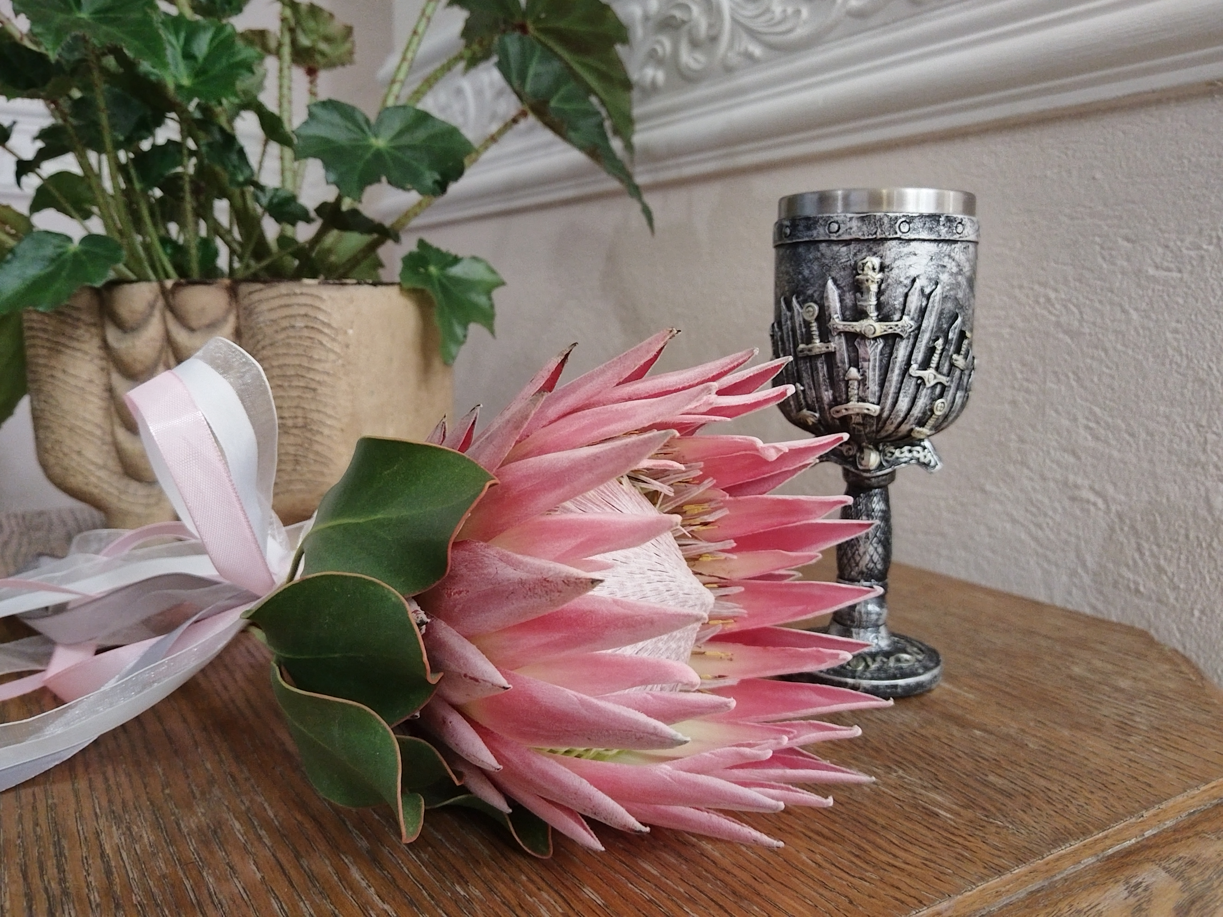 05.12.2025 г. Могилев. ЗАГС. Свадебная пара недели: Татьяна и Сергей Чернухо.