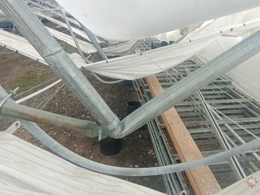 В Бобруйском районе обрушился каркас теплицы лесного питомника из-за снеговой нагрузки (видео)