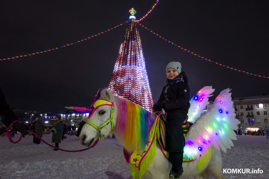 Бобруйск в январских сумерках. Наш фоторепортаж