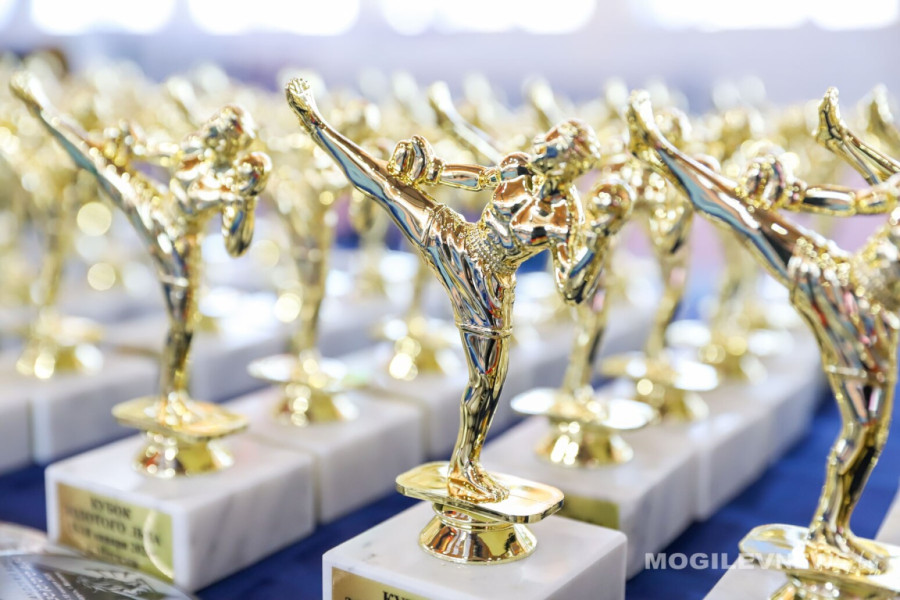 16.01.2026 года. Турнир по тайскому боксу «Золотой лев» проходит в Могилеве. Фото: mogilevnews.by.