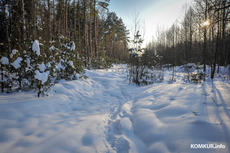 12.01 2012. Солнечный зимний день в районе санатория «Шинник».