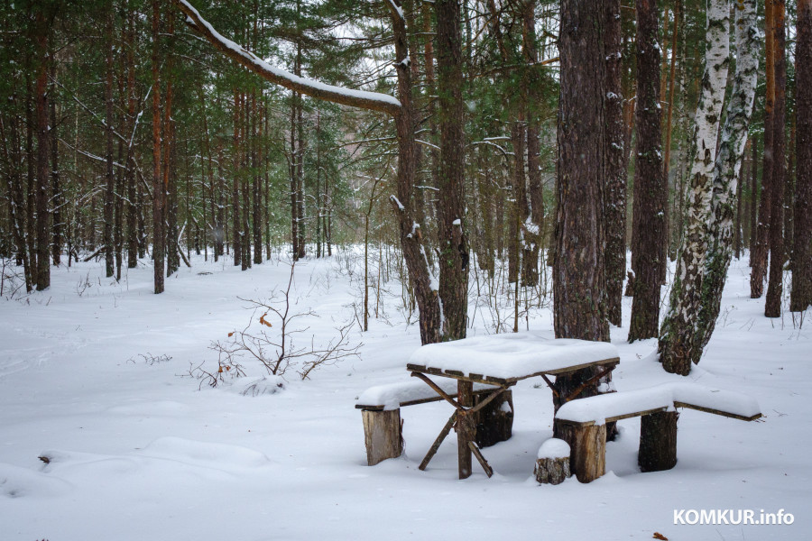 10.01.2024. Первомайский район, Бобруйск, Могилёвская область, 213822, Беларусь. Старый тракт Бобруйск – Минск.