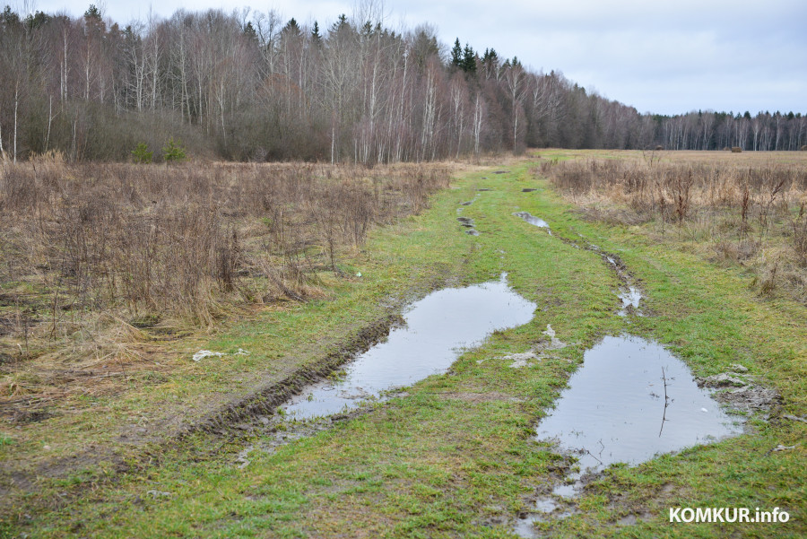 11.01.2014. Деревня Сычково Бобруйского района. Околица. Без снега.
