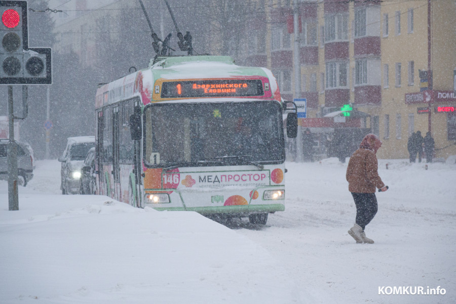 09.01.2026. Циклон Улли принес в Бобруйск обильные снегопады.