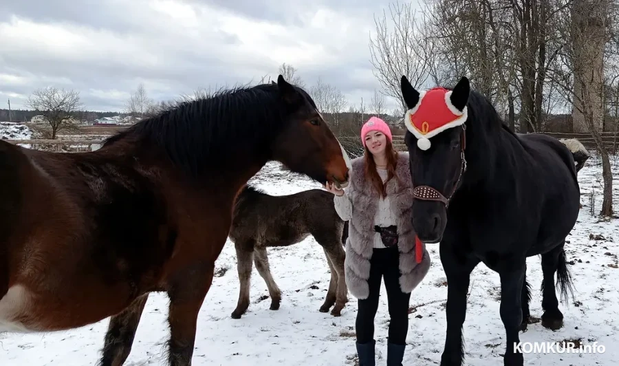 Декабрь 2025 г. Питомцы Виктории Шеремет. 