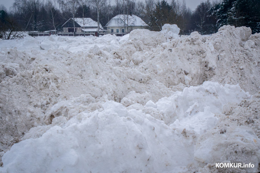 26.01.2026. Ленинский район, Бобруйск. Снег из города свозят на площадку временного складирования в районе поселка Керамичный