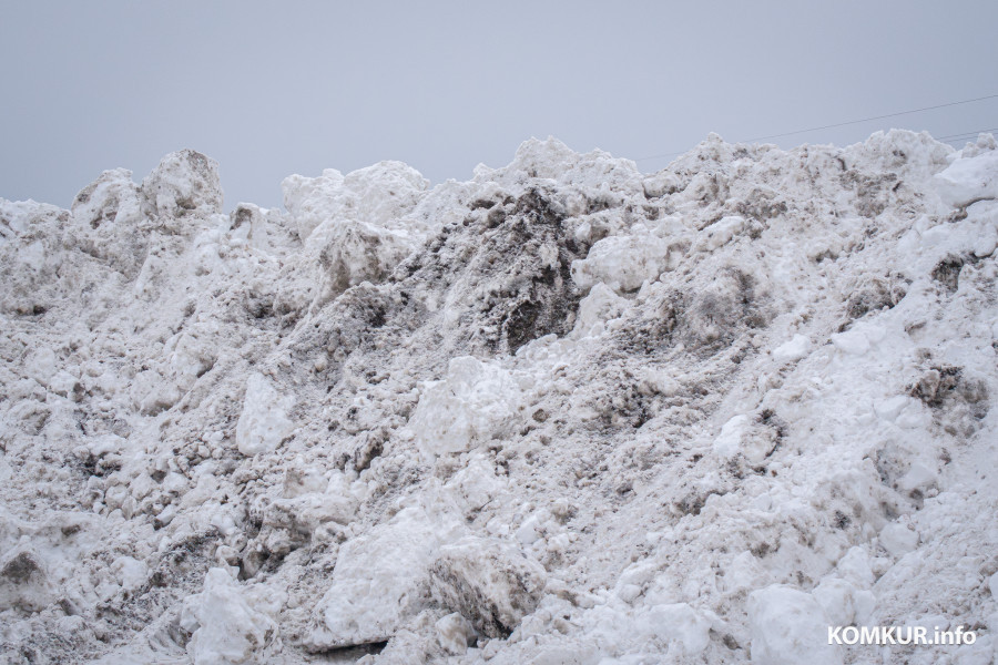 26.01.2026. Ленинский район, Бобруйск. Снег из города свозят на площадку временного складирования в районе поселка Керамичный