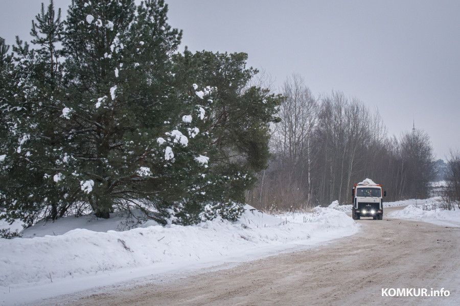 26.01.2026. Ленинский район, Бобруйск. Снег из города свозят на площадку временного складирования в районе поселка Керамичный