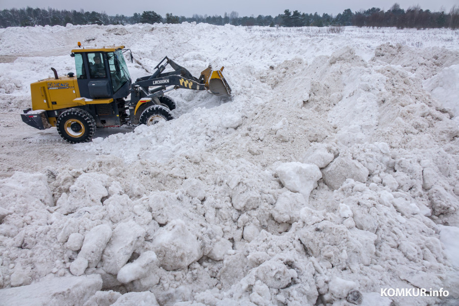 26.01.2026. Ленинский район, Бобруйск. Снег из города свозят на площадку временного складирования в районе поселка Керамичный