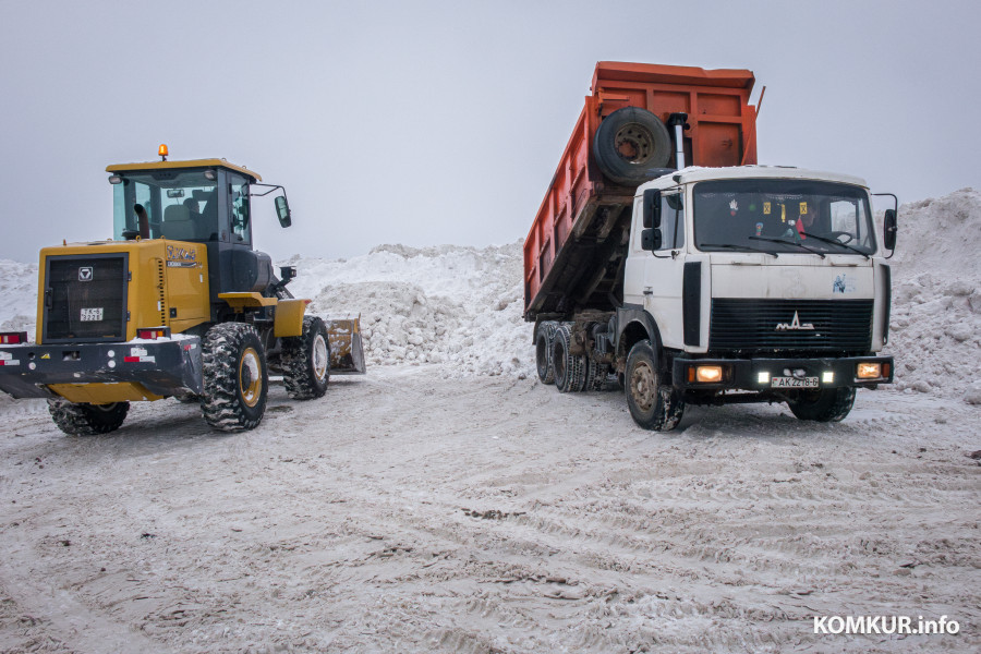 26.01.2026. Ленинский район, Бобруйск. Снег из города свозят на площадку временного складирования в районе поселка Керамичный