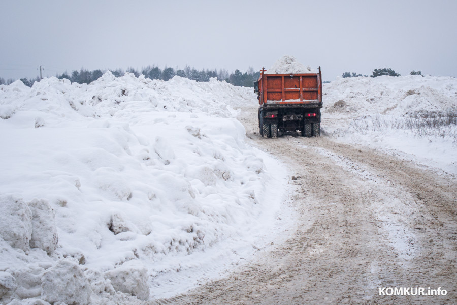 26.01.2026. Ленинский район, Бобруйск. Снег из города свозят на площадку временного складирования в районе поселка Керамичный