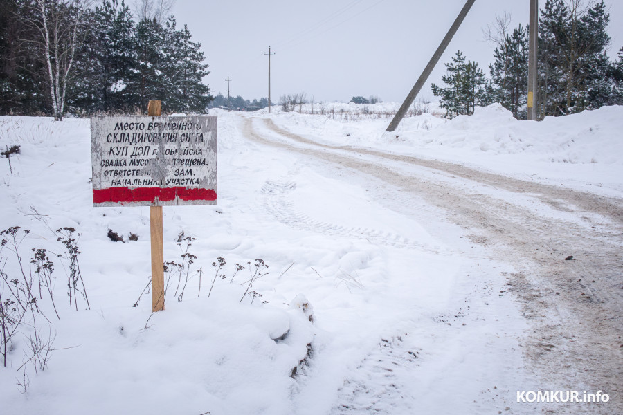 26.01.2026. Ленинский район, Бобруйск. Снег из города свозят на площадку временного складирования в районе поселка Керамичный