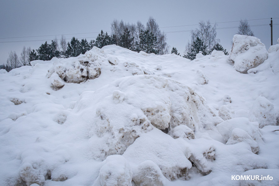 26.01.2026. Ленинский район, Бобруйск. Снег из города свозят на площадку временного складирования в районе поселка Керамичный